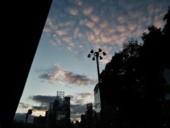 都会の夕焼け