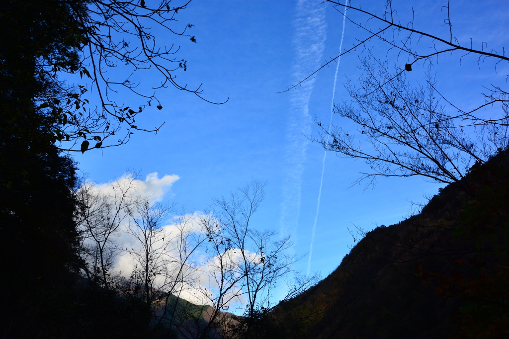 飛行機雲