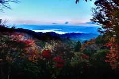 琵琶湖覗き見