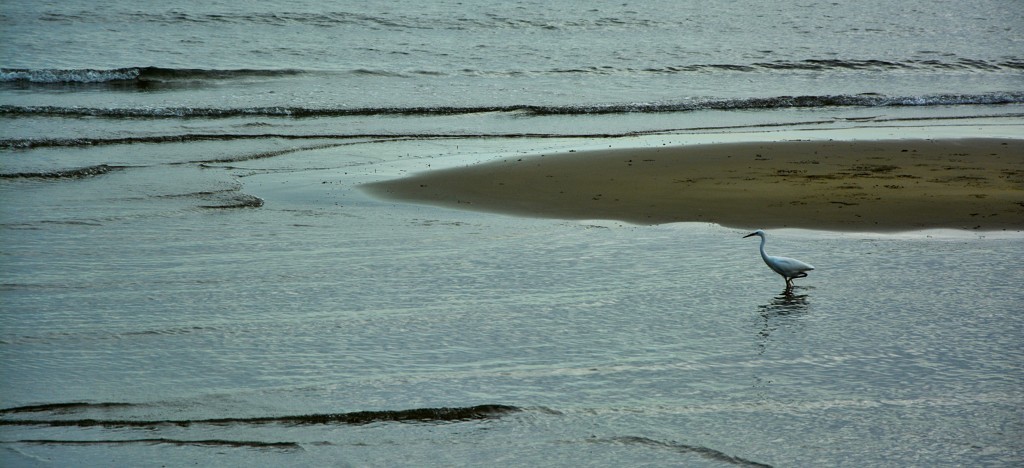 浅瀬