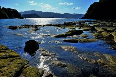 山陰海岸ジオトープ/磯