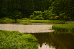 池光る
