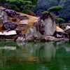 見立て
