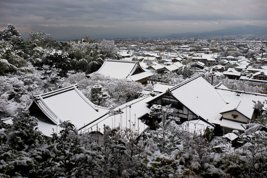 左京の冬