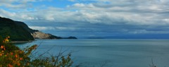 静海