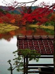 落葉の時