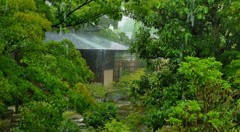 にわか雨