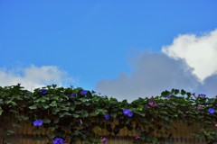 青空