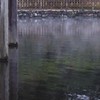 靄