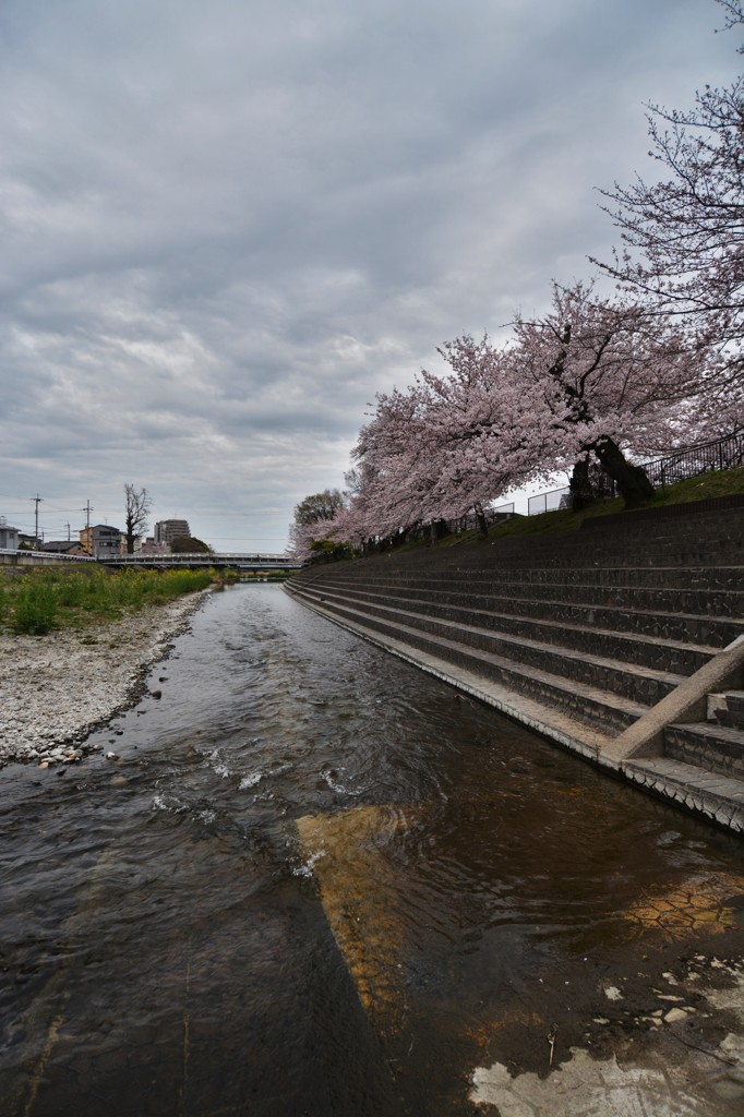 春川