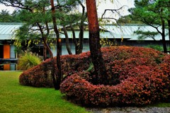 植栽の美/京都迎賓館