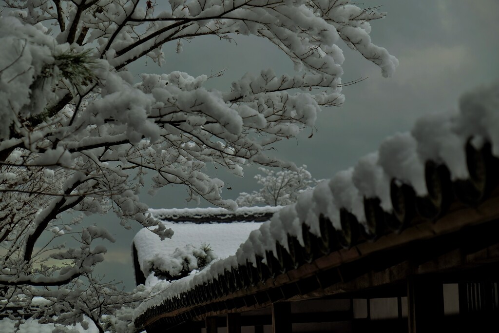 積雪