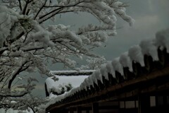 積雪