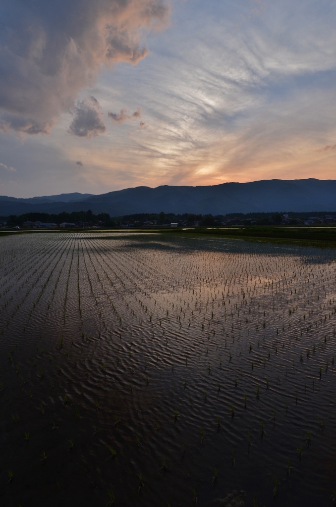 夕暮れに染まる