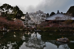 春の池