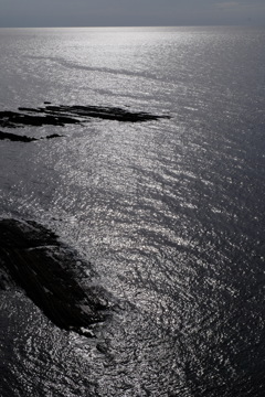 磯に光る海