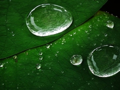 水