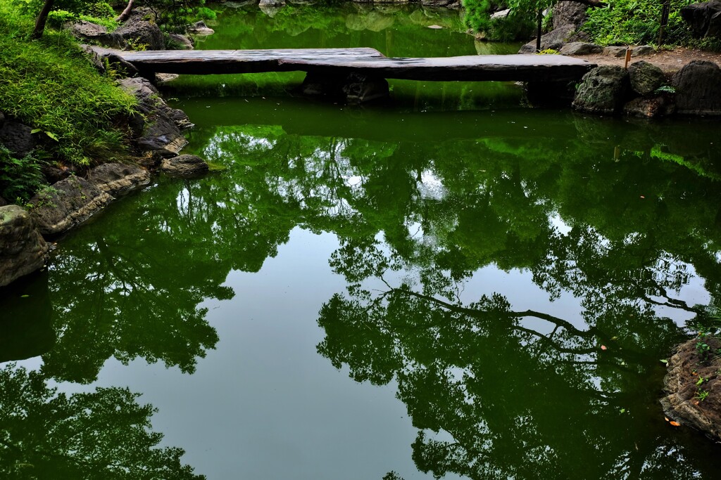 静寂の橋