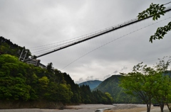 見上げる吊橋