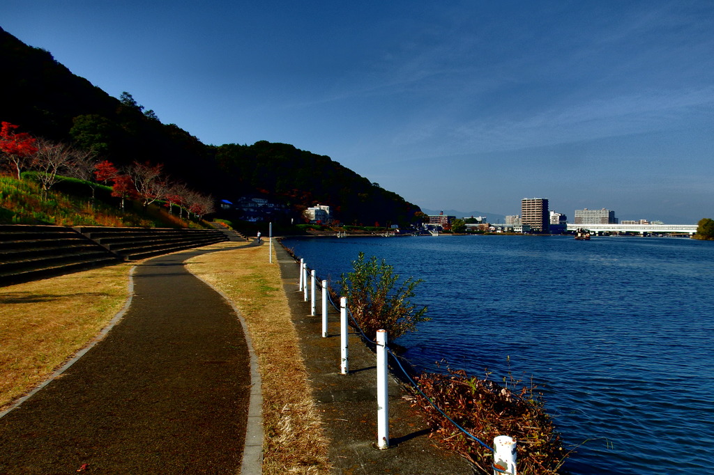 秋の川辺