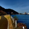 秋の川辺