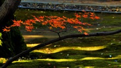 流れ