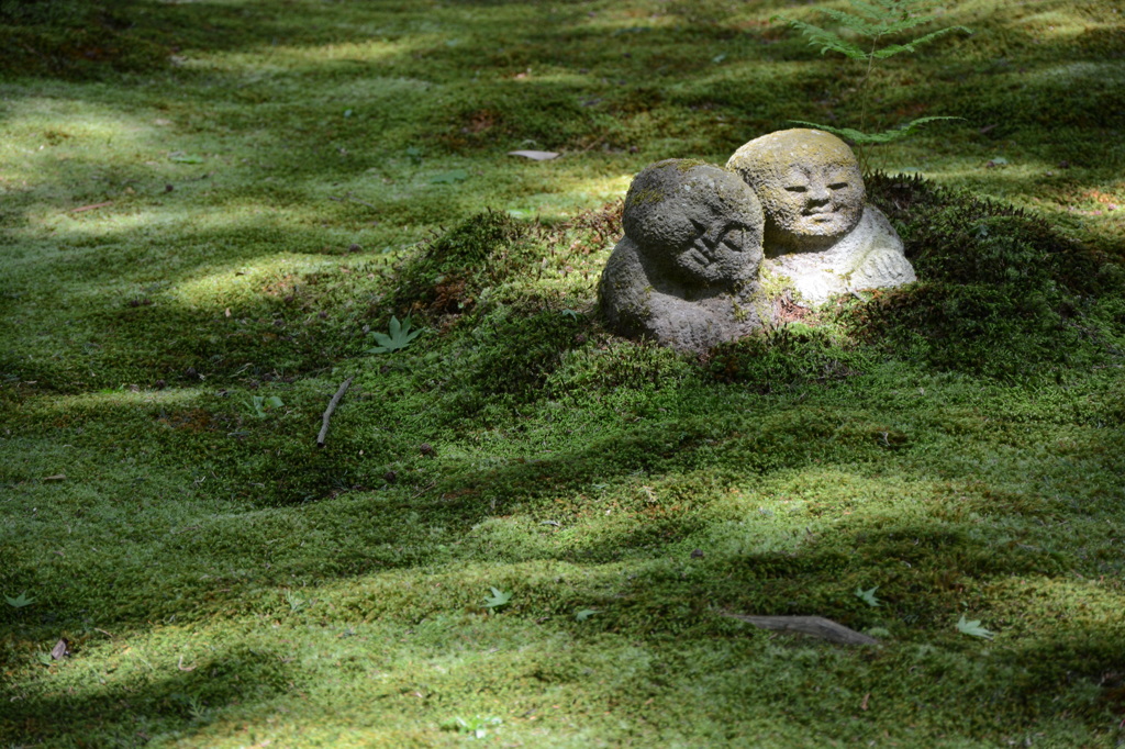 連れ合い