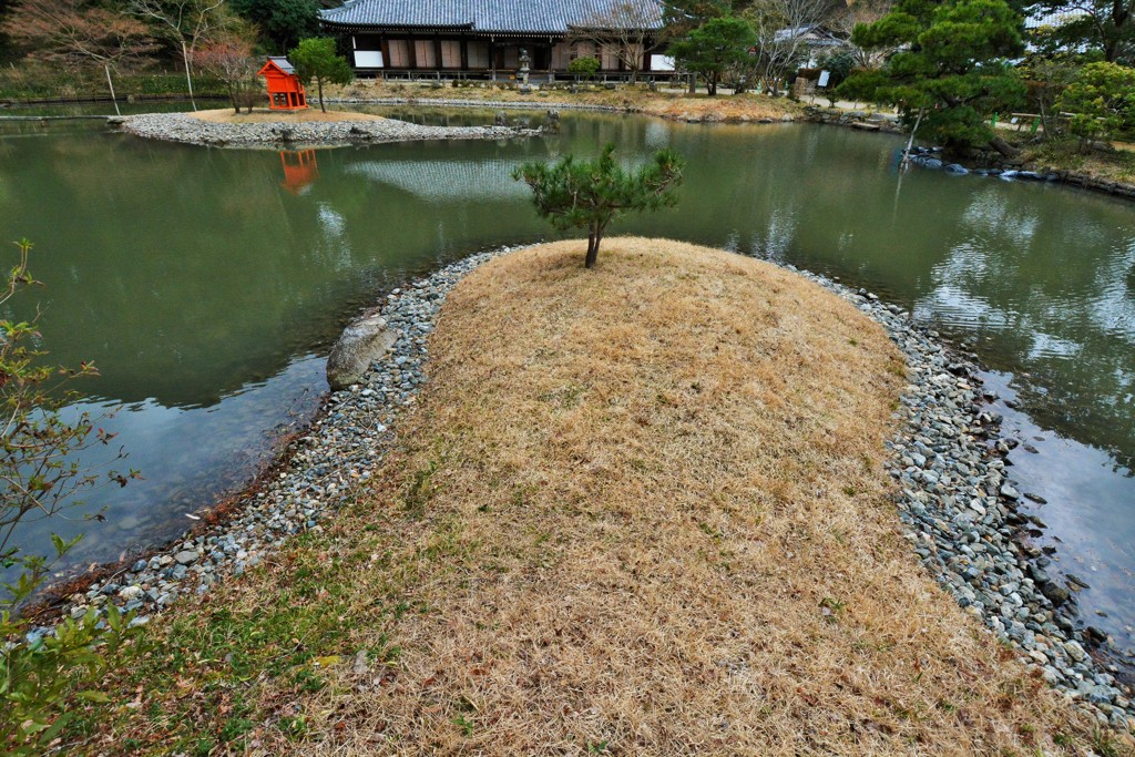 張出しの松
