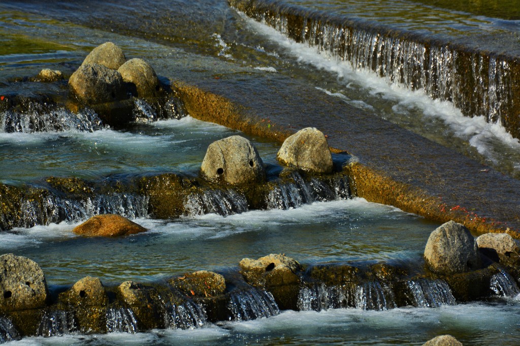 水ぬるむ