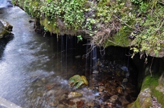 絹糸の滝