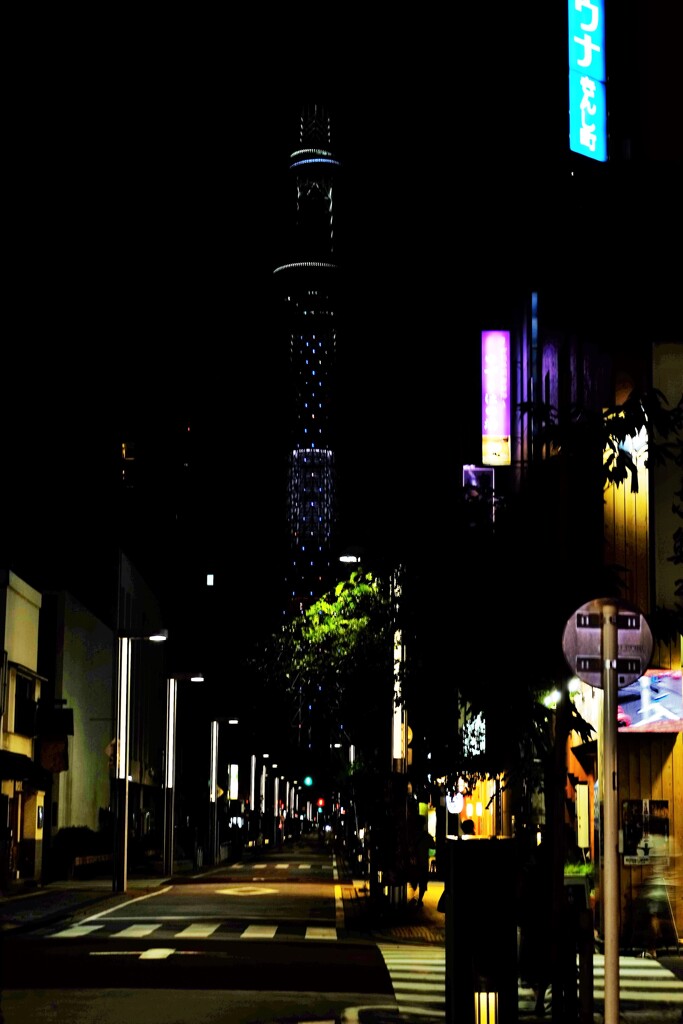 横丁のツリー