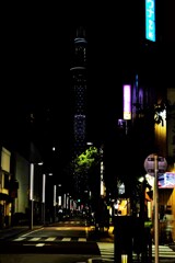 横丁のツリー