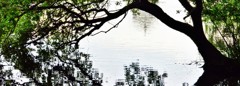 水面