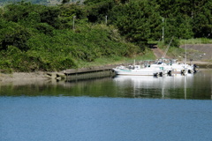 内港