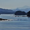 内海