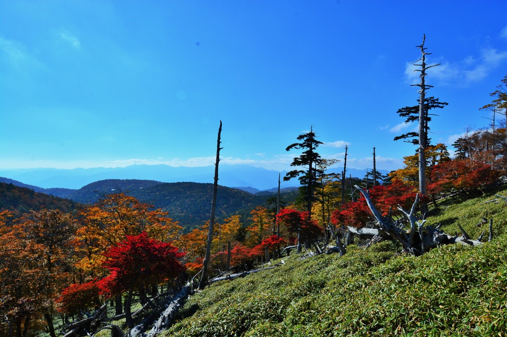 秋晴れの原