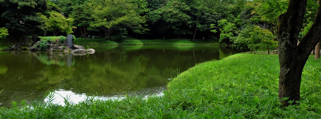 向岸