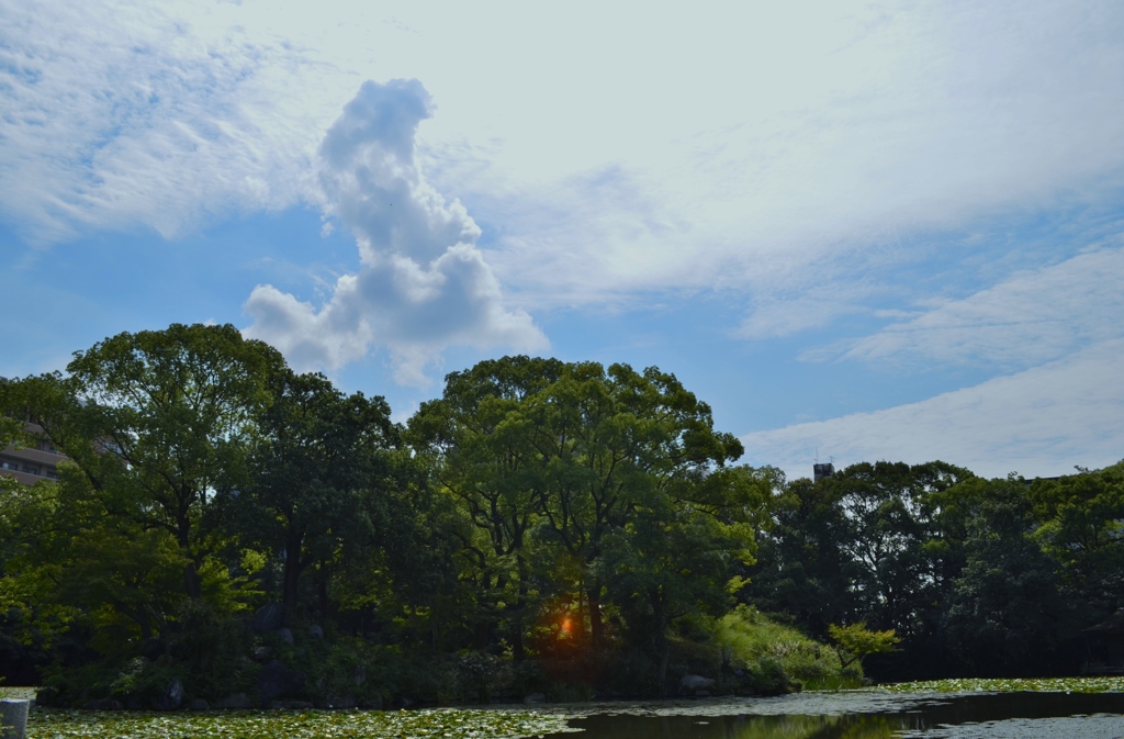 秋めく空