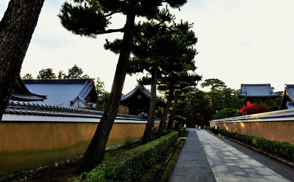 寺塀