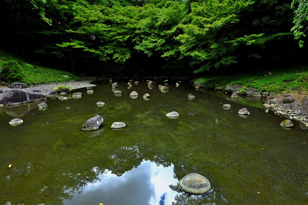 神秘の先
