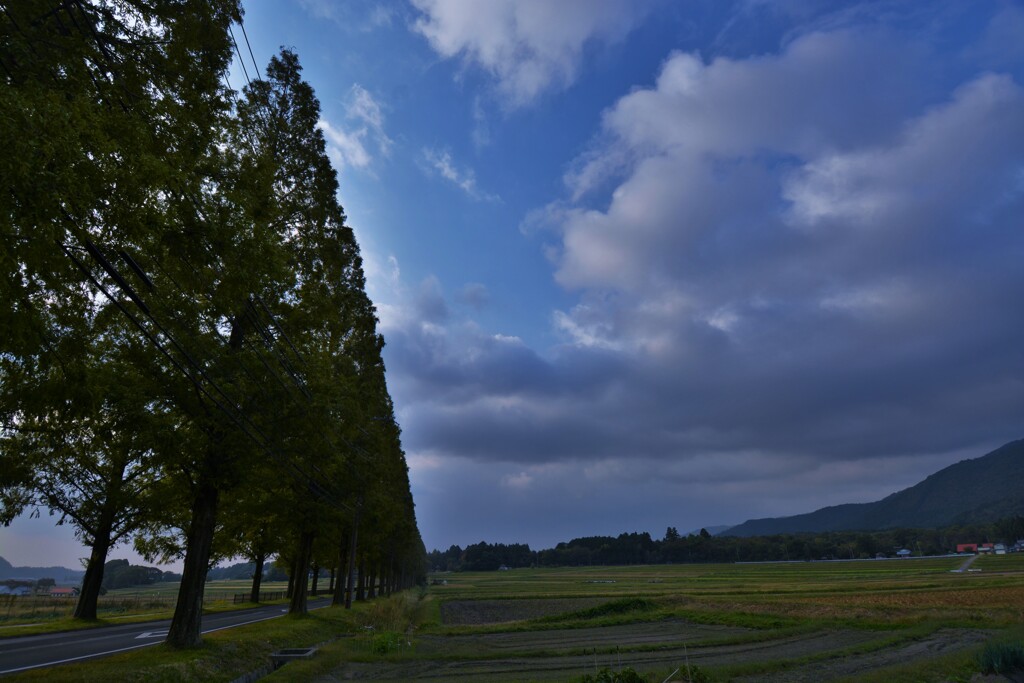 草原