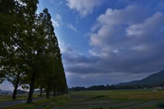 草原