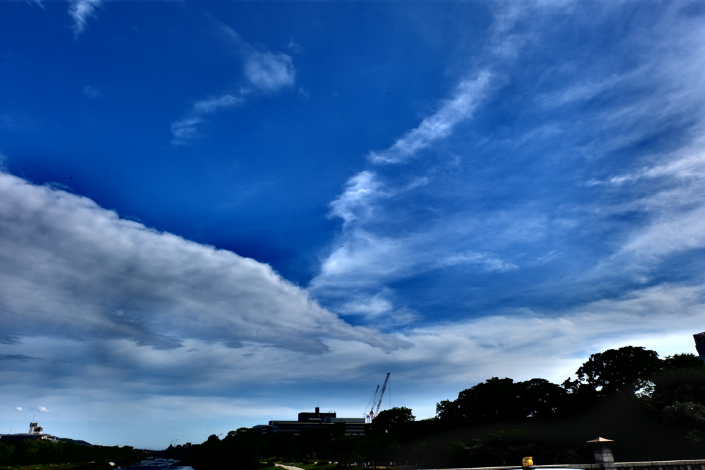 プレート雲