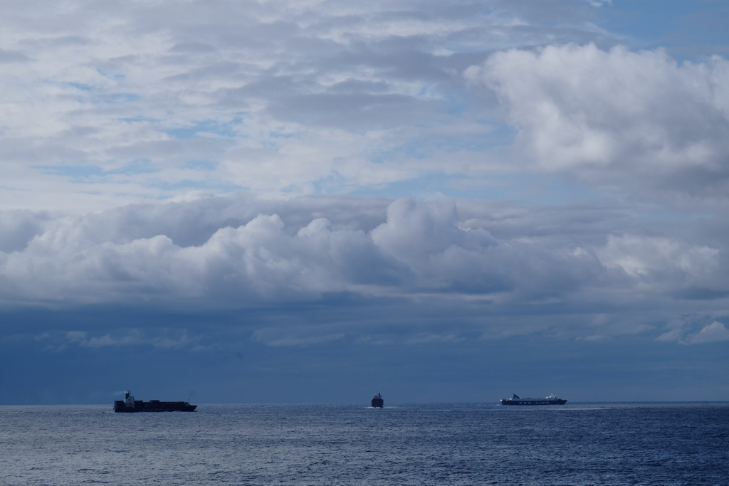 紀伊水道の往来