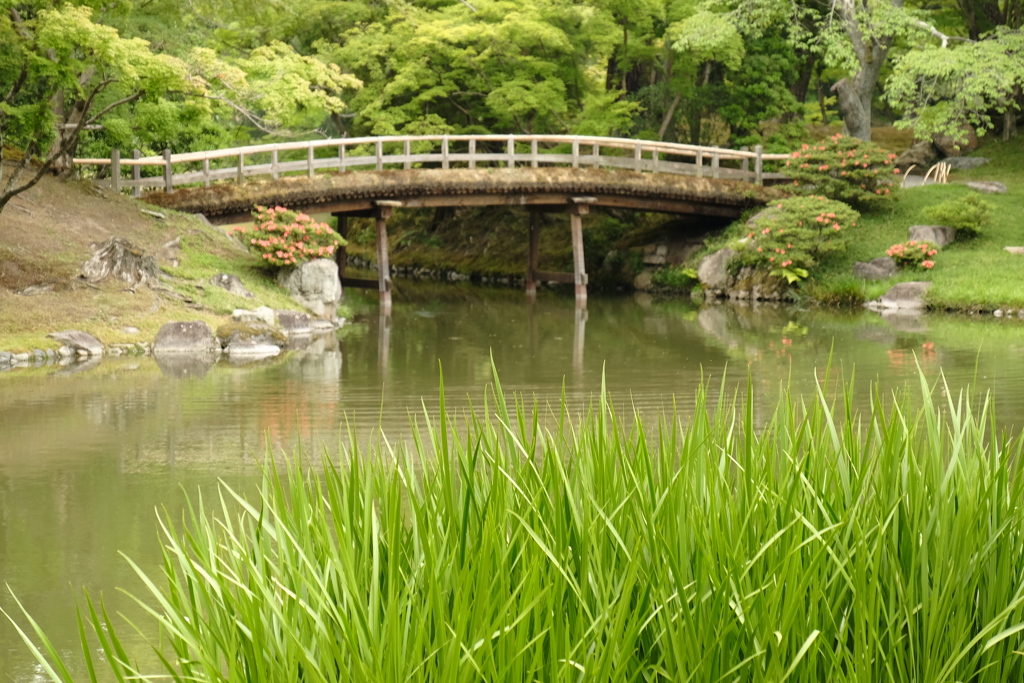 古橋