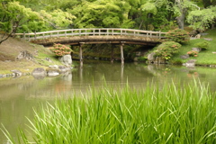 古橋