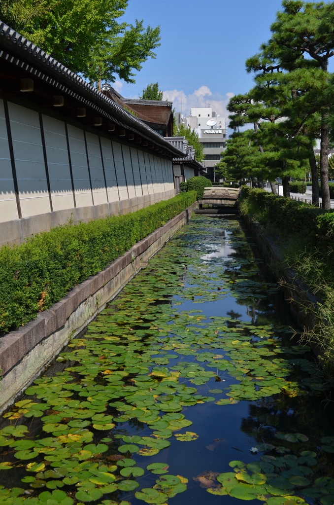 お東さんの堀