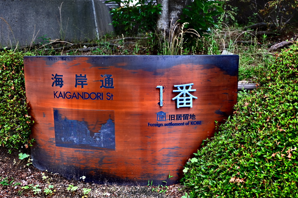 趣き