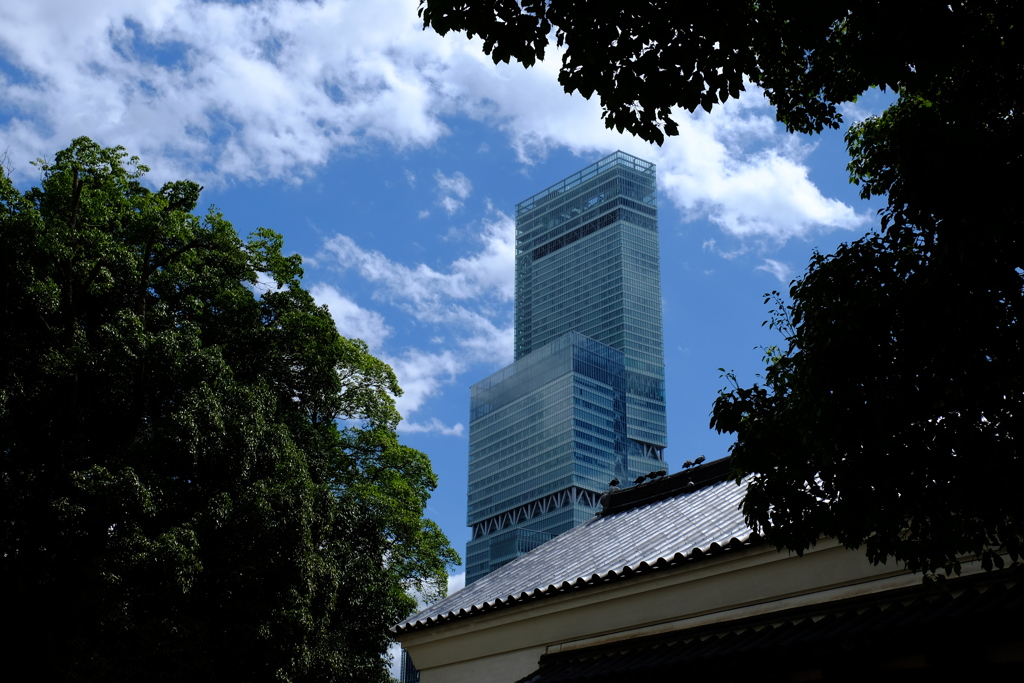 秋空に建つ