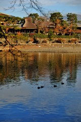 川辺の風情